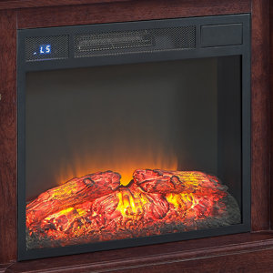 Electric Fireplace Insert