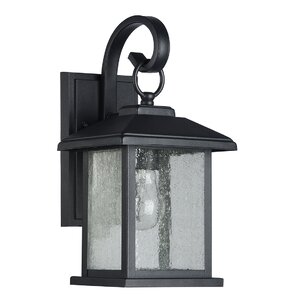 Mira 1-Light Outdoor Wall Lantern