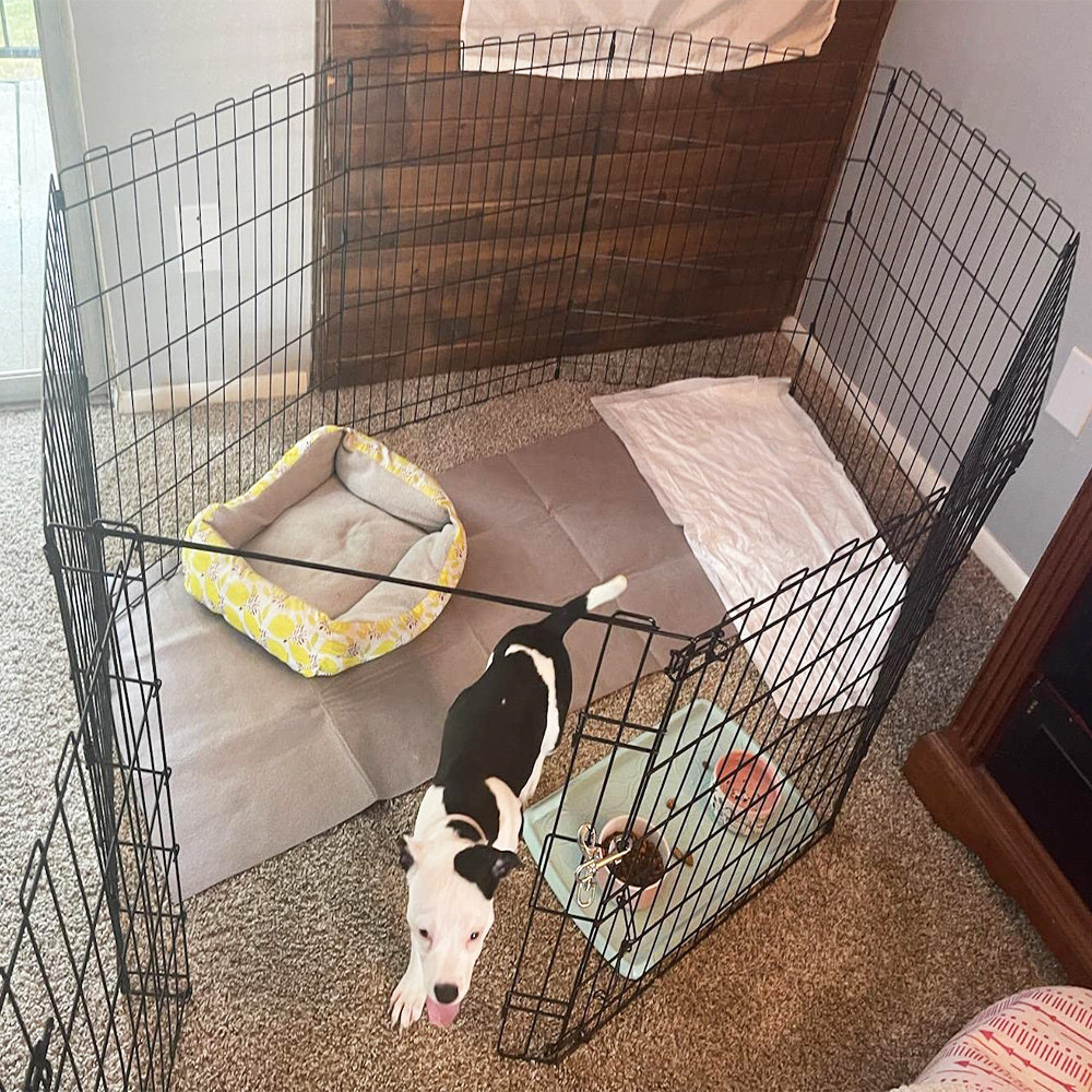 long dog pen