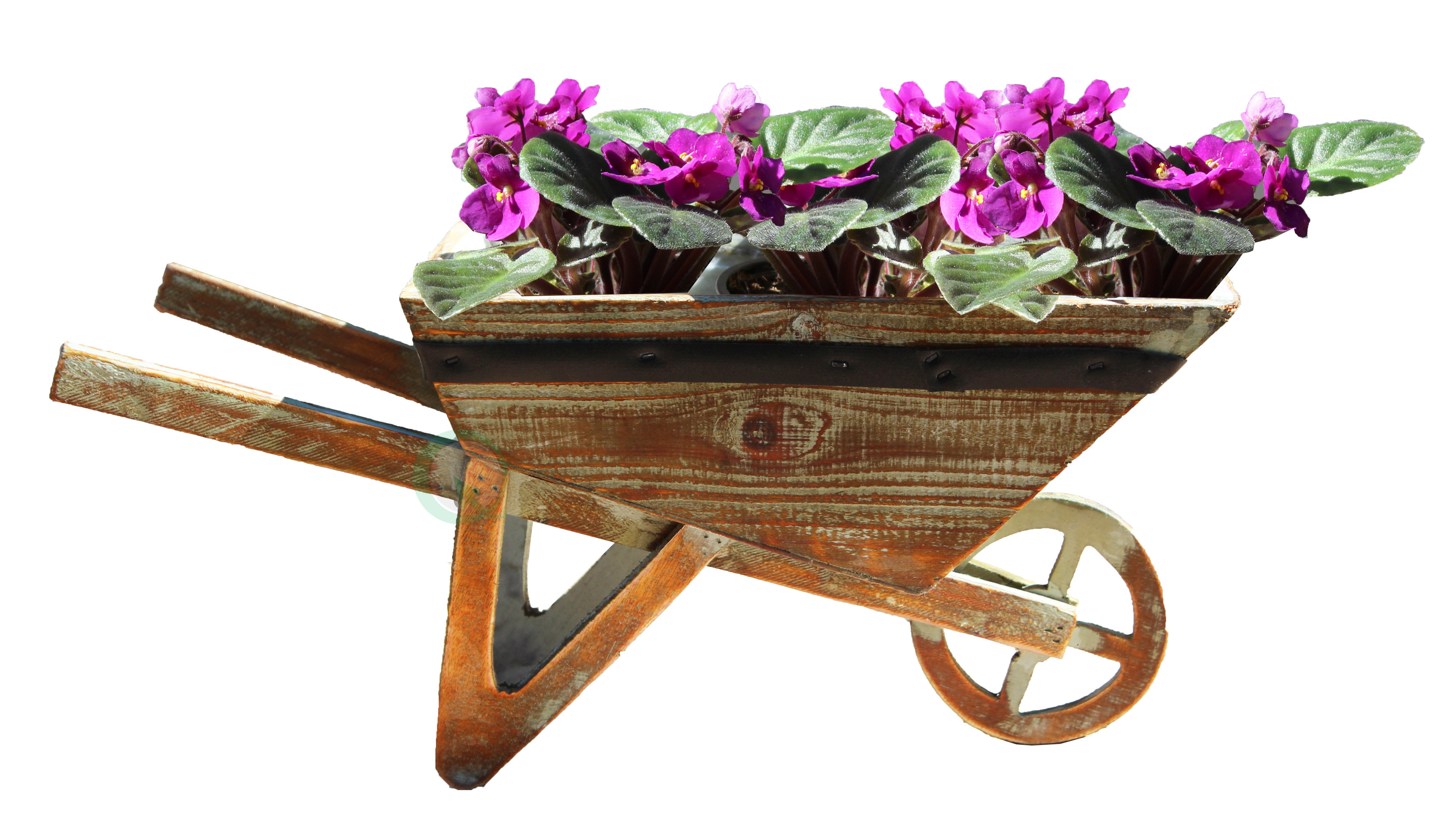 Gardenised Wood Wheelbarrow Planter Reviews Wayfair