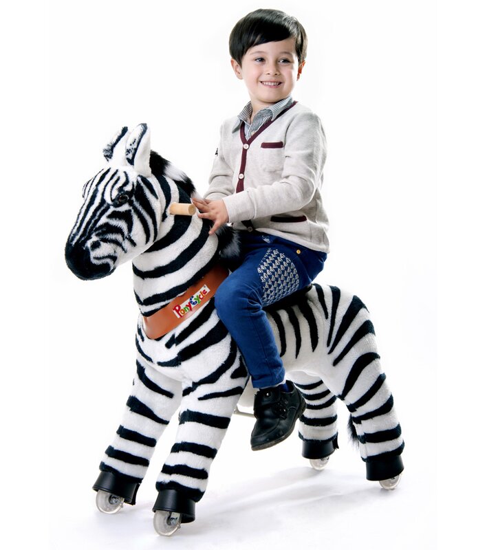 zebra pony cycle