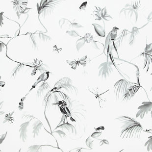 bird wallpaper you ll love in 2021