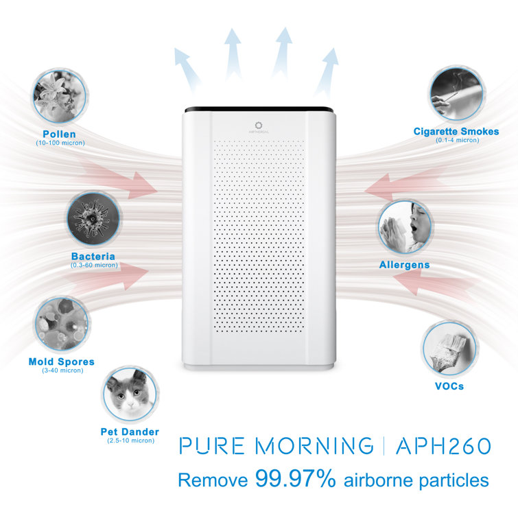 Airthereal pm 2.5 blinking
