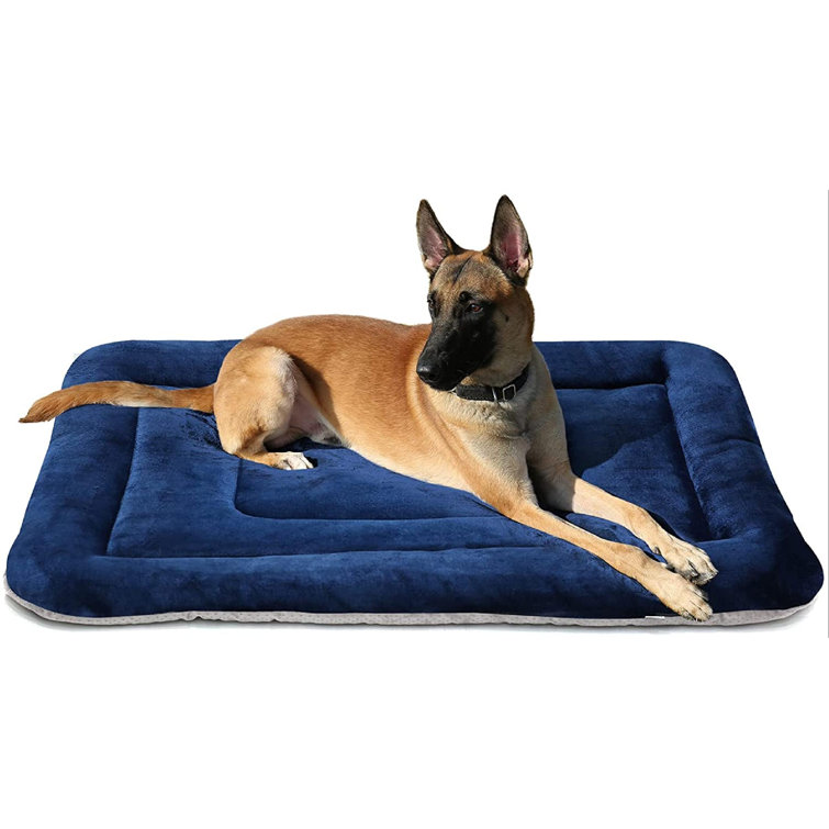 Small dog mat clearance