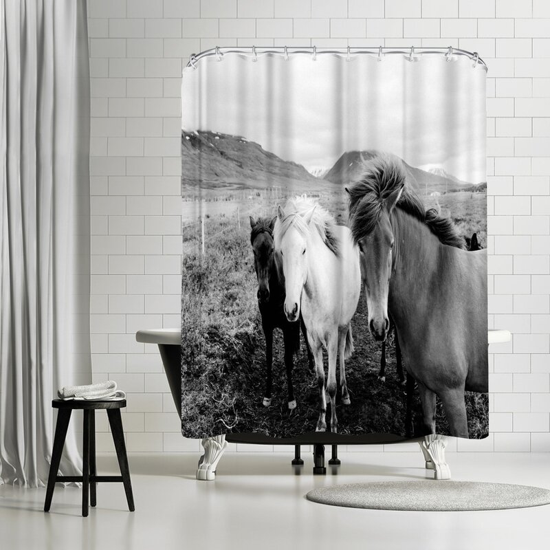 horse shower curtain rings