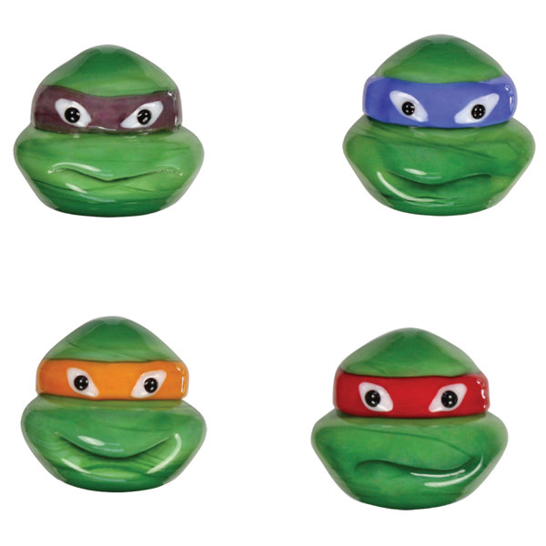 Teenage Mutant Ninja Turtles Leonardo Looking Glass Figure Head
