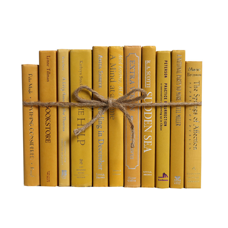 Booth Williams 11 Piece By Color Modern Mustard Colorpak Authentic Decorative Book Set Reviews Perigold