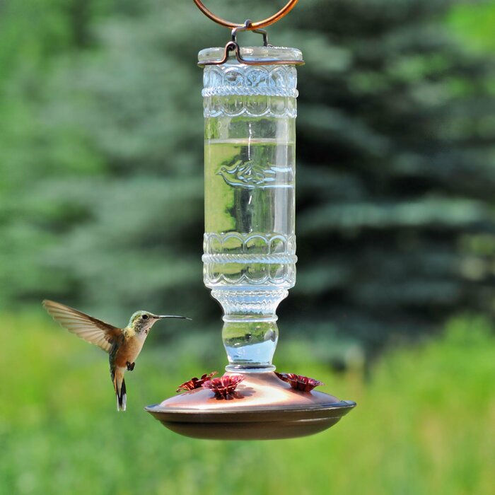 Perky Pet Opus Glass Bottle Nectar Hummingbird Feeder Reviews