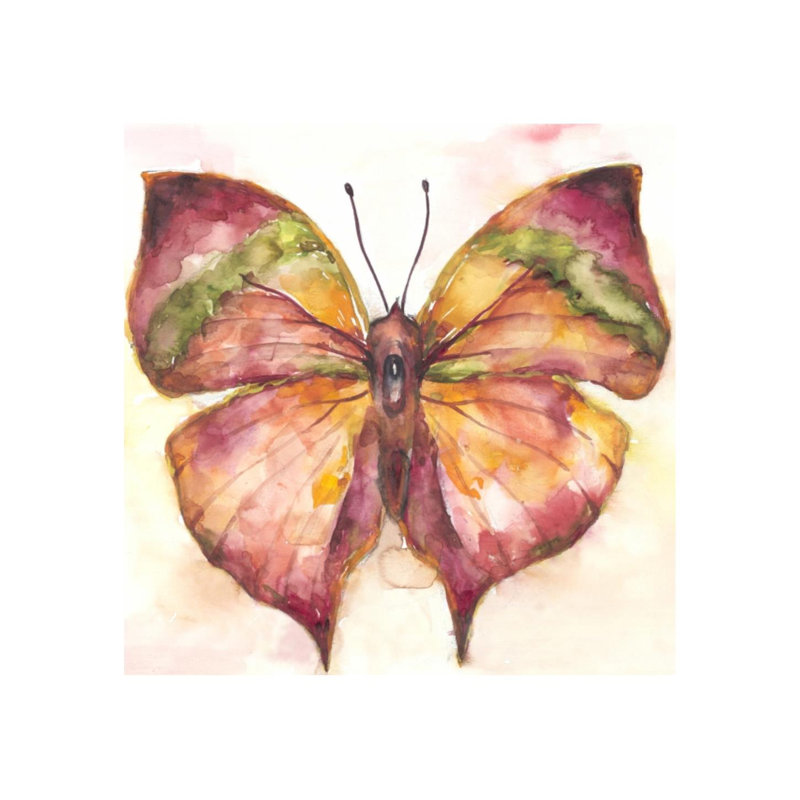 butterfly ii