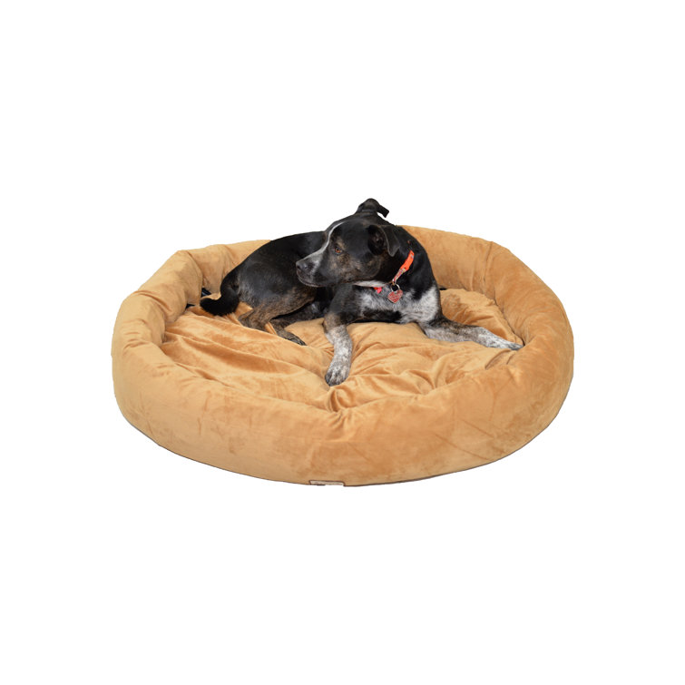 kimlor dog bed