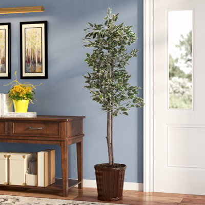 Alcott Hill Economy Artificial Potted Natural Variegated Ficus Tree in Basket
