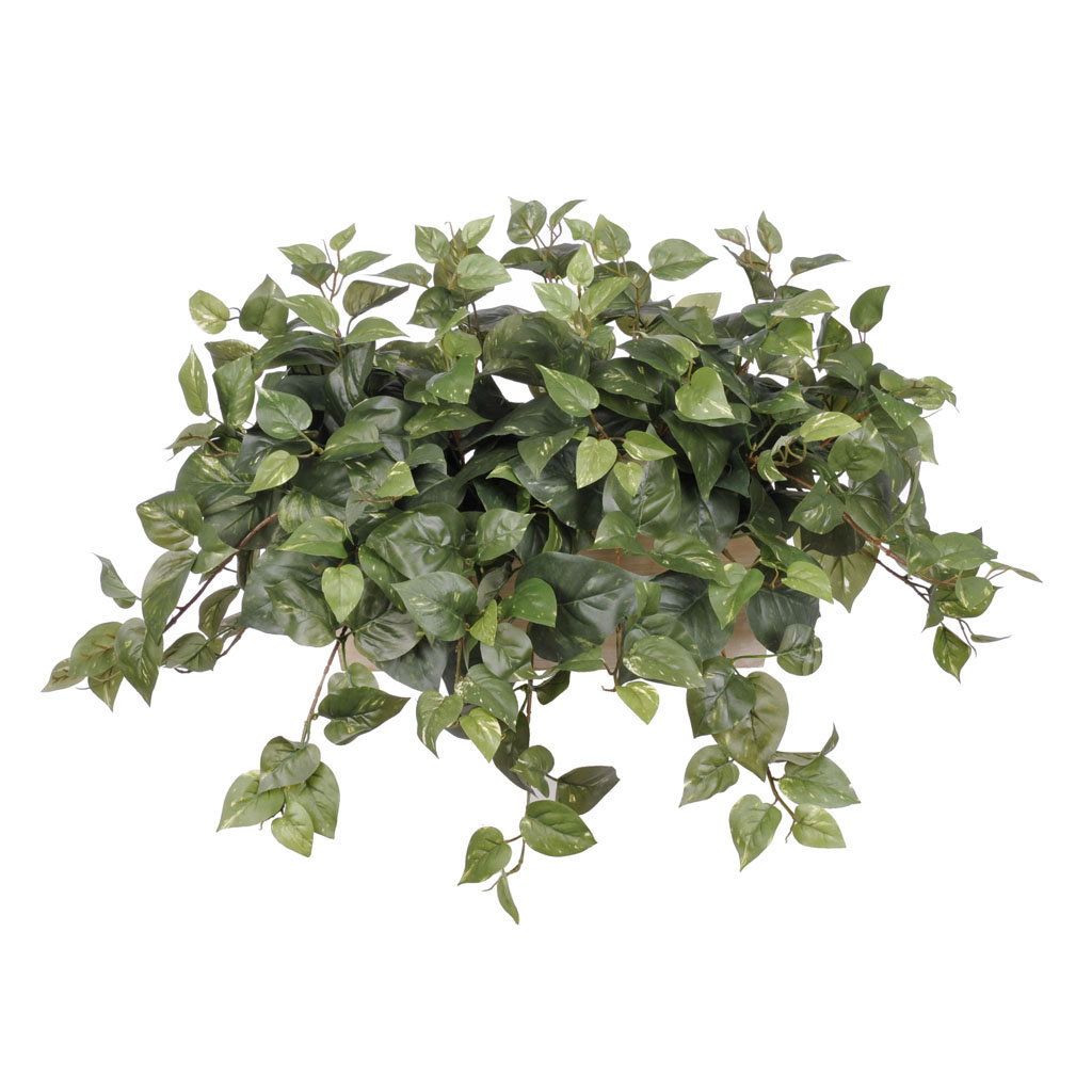 Gracie Oaks 15'' Faux Pothos Plant in Wood Pot & Reviews Wayfair