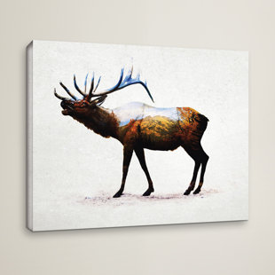 Rocky Mountain Elk