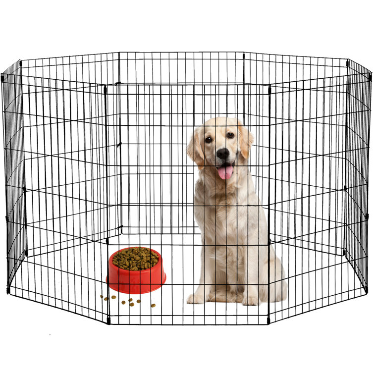 ace hardware dog pen