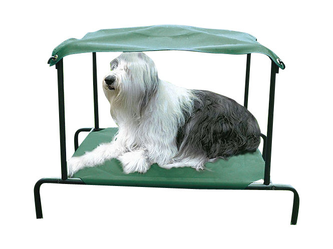 outdoor elevated dog bed