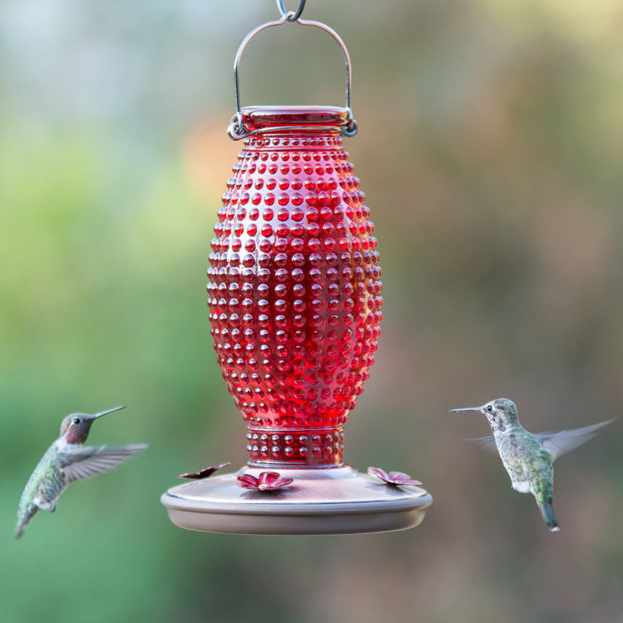 Perky Pet Hobnail Vintage Hummingbird Feeder Reviews Wayfair Ca