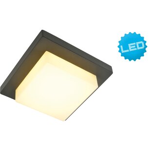 LED Outdoor Ceiling Light Image