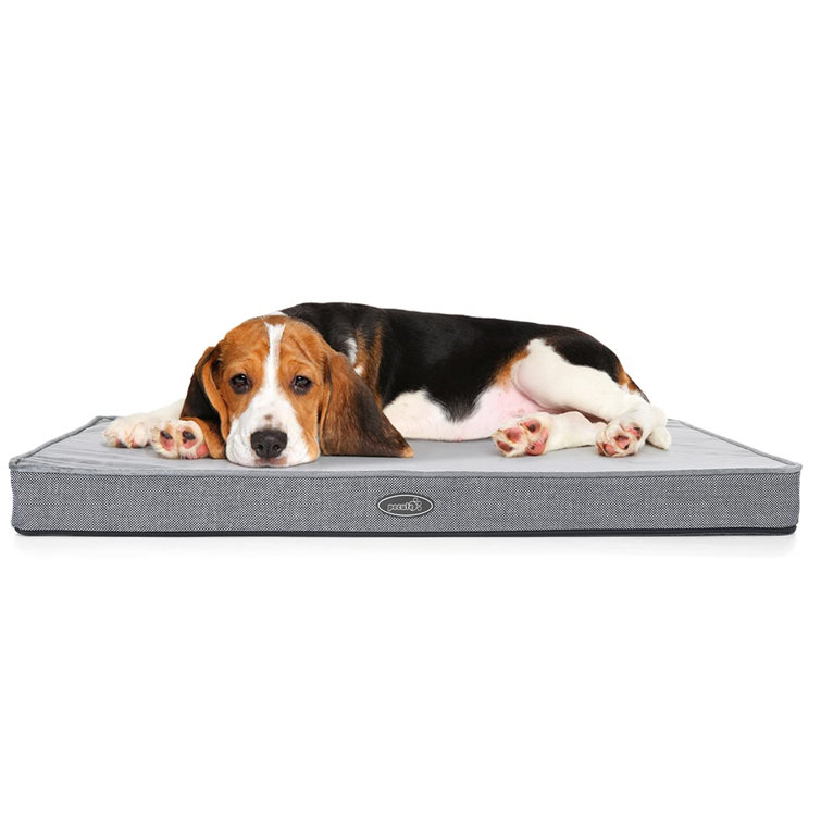 memory foam dog crate pad