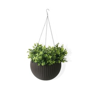 Small, Black-6 PCS Self Watering Hanging Planters,Lazy Flower Pots Water Hanging Plants Pot,Plant Flower Pot Wall Hanging Plastic Planters with 10 Hooks 