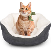 dog beds clearance items