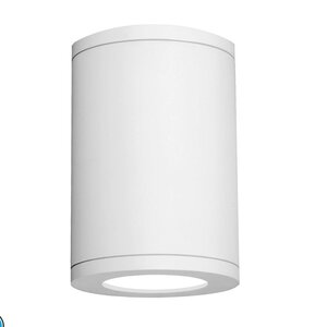 Tube Architectural 1-Light LED Flush Mount