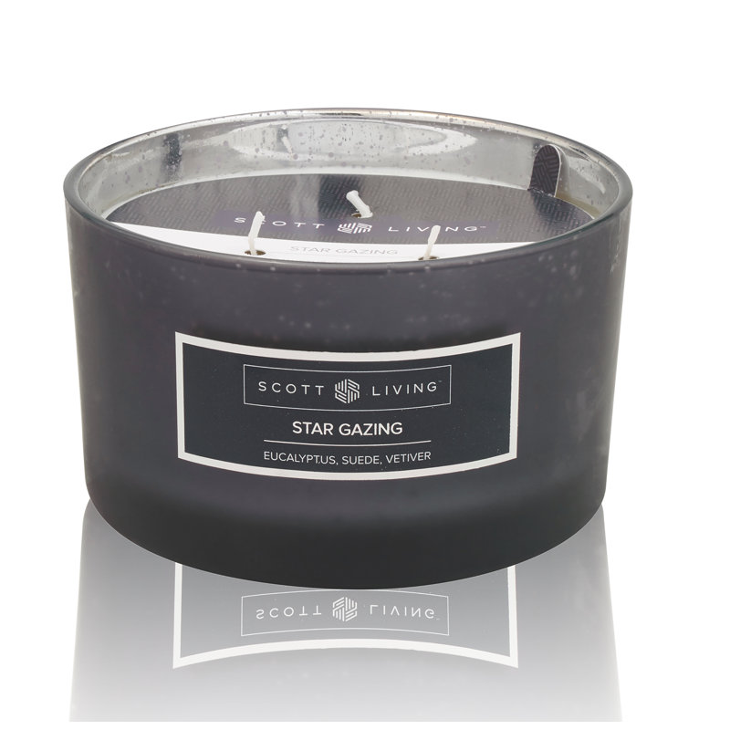 Scott Living Star Gazing Eucalyptus Suede Vetiver Scented Jar Candle Wayfair
