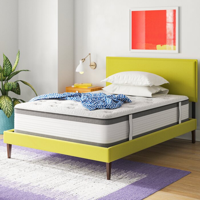 Wayfair Sleep 14