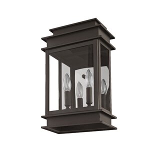 Farmingdale 2-Light Outdoor Wall Sconce