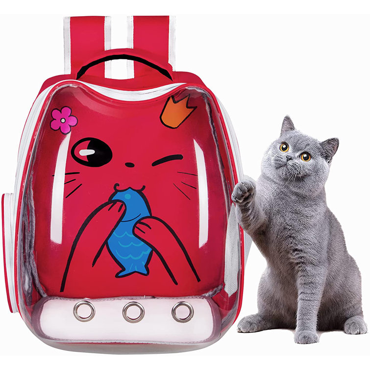 spaceship backpack for cats