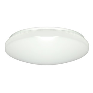 Best Dahlke 1-Light LED Outdoor Flush Mount By Ebern Designs Outdoor Lighting Dahlke 1-Light LED Outdoor Flush Mount By Ebern Designs Outdoor Lighting