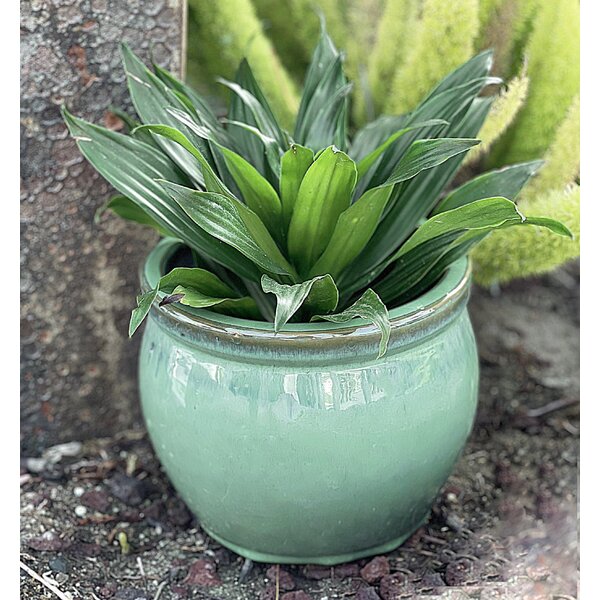 Large Terracotta Pot with Neutral Coloured Ombre Design Suitable for Plants 