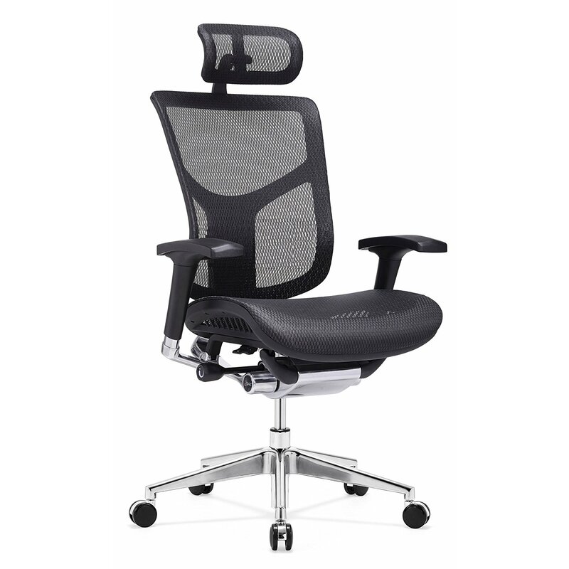 Symple Stuff Xl Luxury Series Ergonomic Mesh Task Chair Wayfair