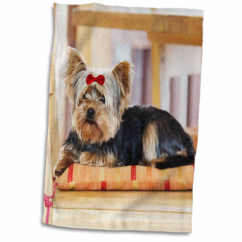 East Urban Home Alyssa Yorkie Yorkshire Terrier Cute Puppy With Bow Playful Dog Hand Towel Wayfair