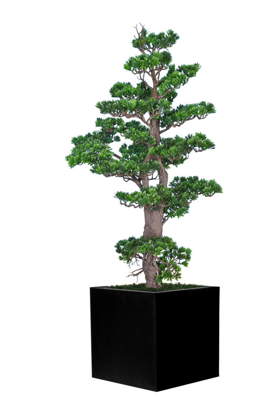 World Menagerie Bonsai Tree in Metal Planter | Wayfair
