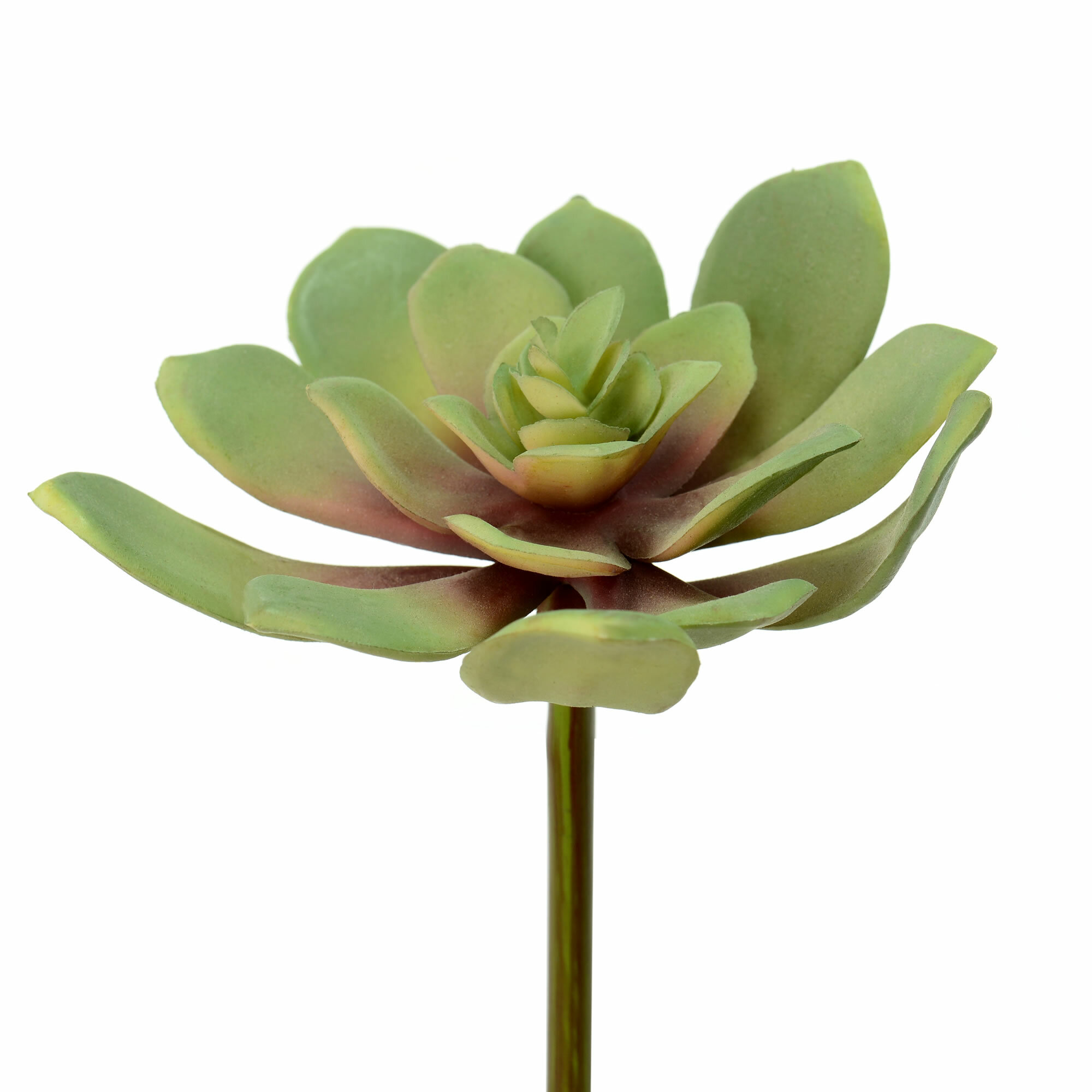 Primrue Artificial Echeveria Succulent Stem | Wayfair