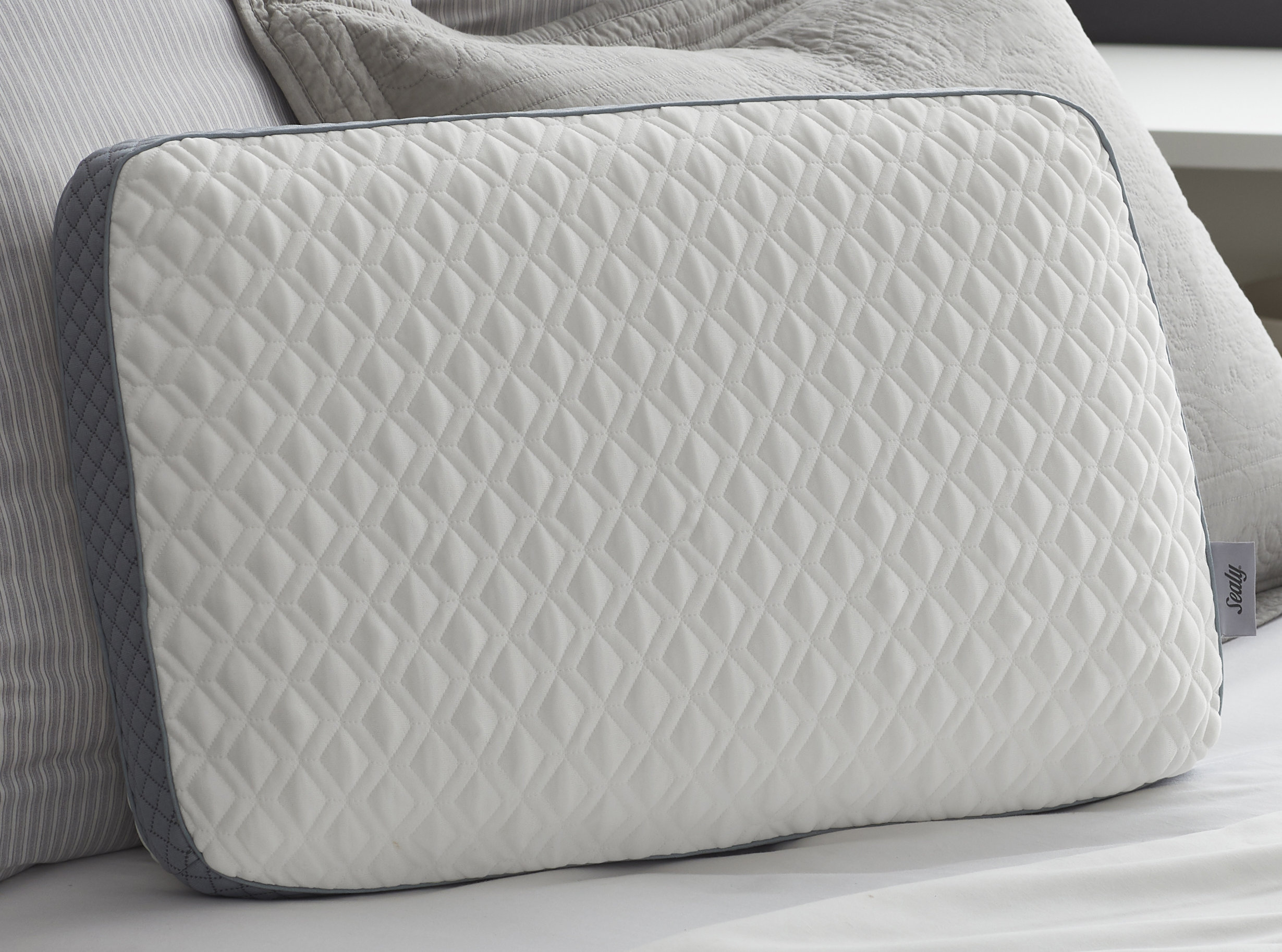 Sealy Medium Memory Foam 16 X 24 Bed Pillow Reviews Wayfair