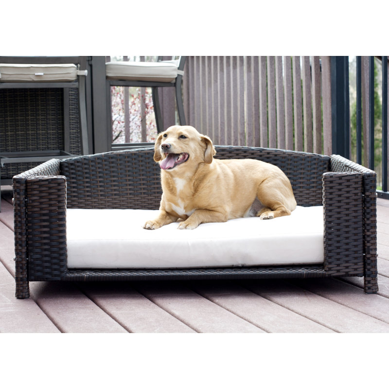 rattan dog sofa