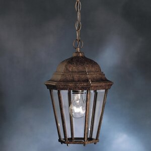 Connan 1-Light Outdoor Hanging Lantern
