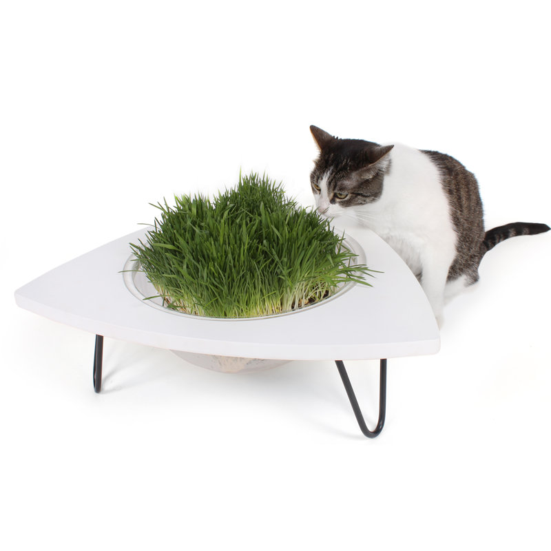 grass cat bed