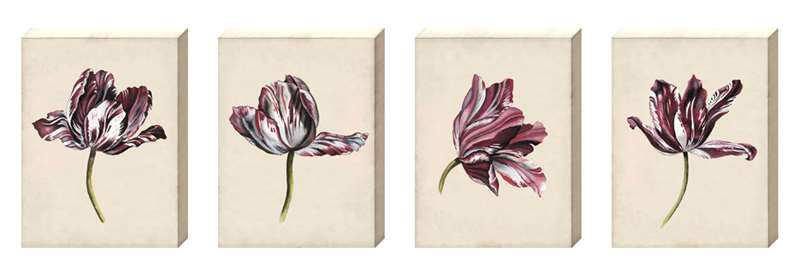 Alcott Hill Antique Tulip Study 2 5 Framed Acrylic Painting Print Set Wayfair
