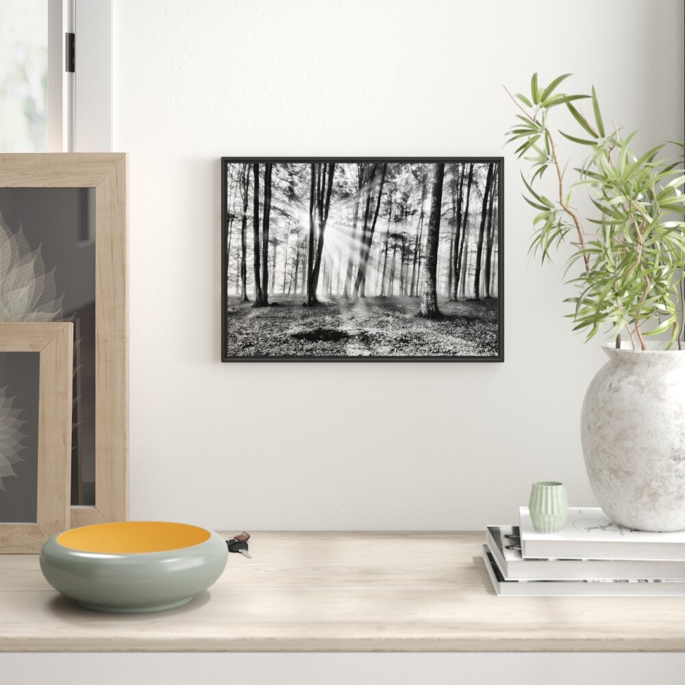 Forest Glade Canvas Picture Wall Deco Art Print