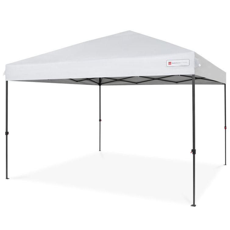 Best Choice Products 10x10ft Easy Setup Pop Up Canopy Instant Portable Tent W 1 Button Push Wheeled Carry Case Gray Reviews Wayfair