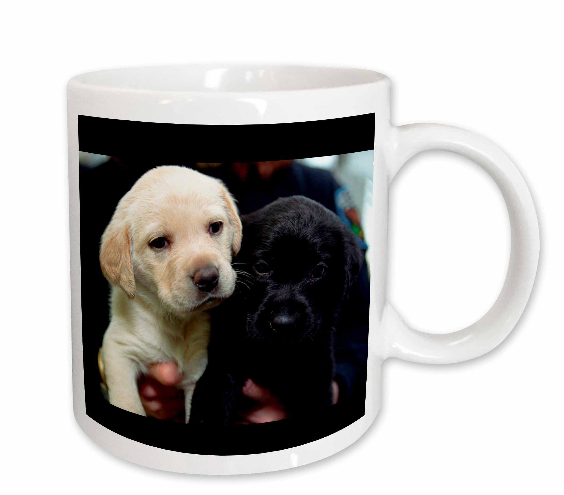 mug puppies