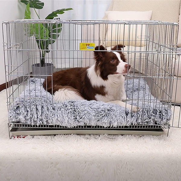 petsmart crate pad