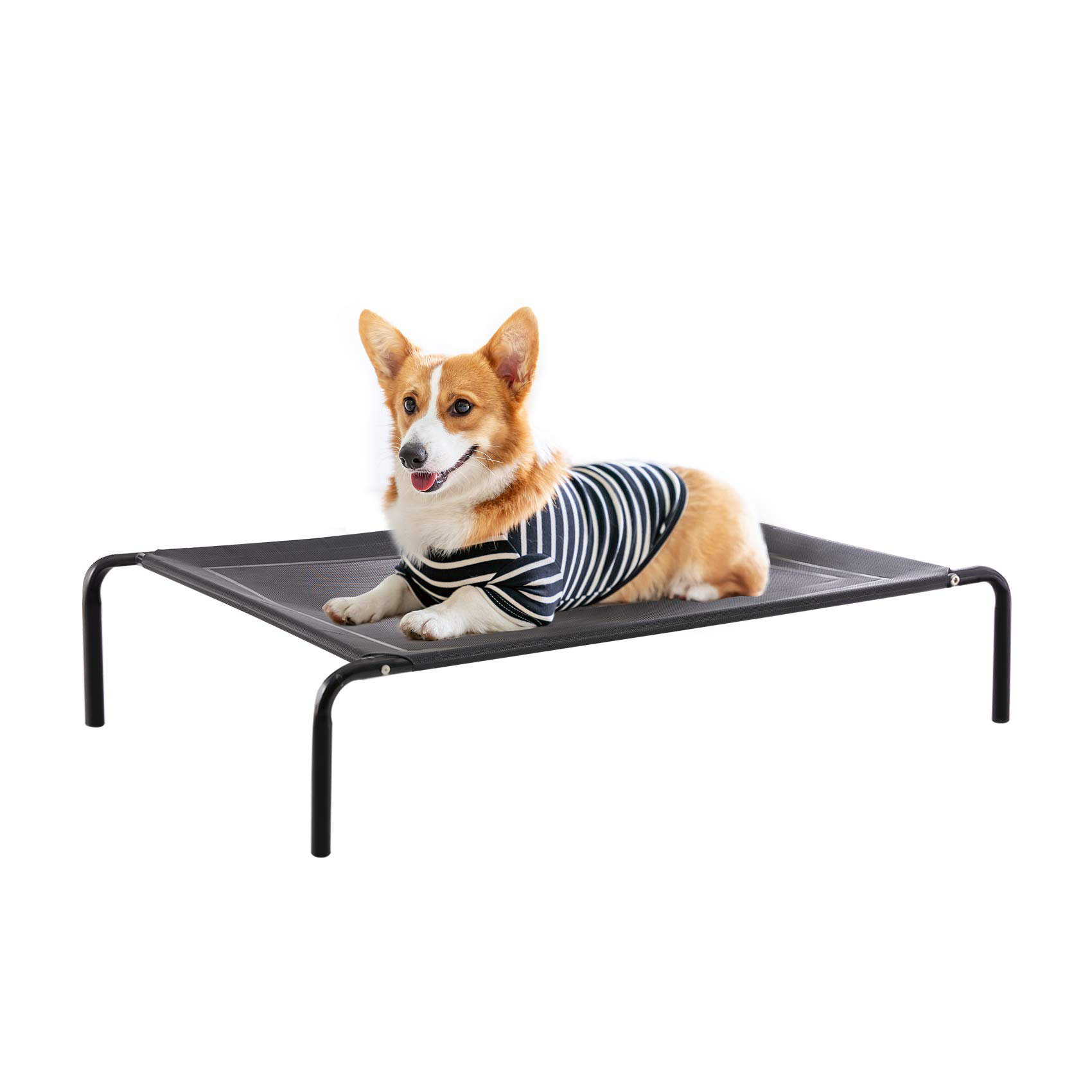 natures menu true instinct free sample