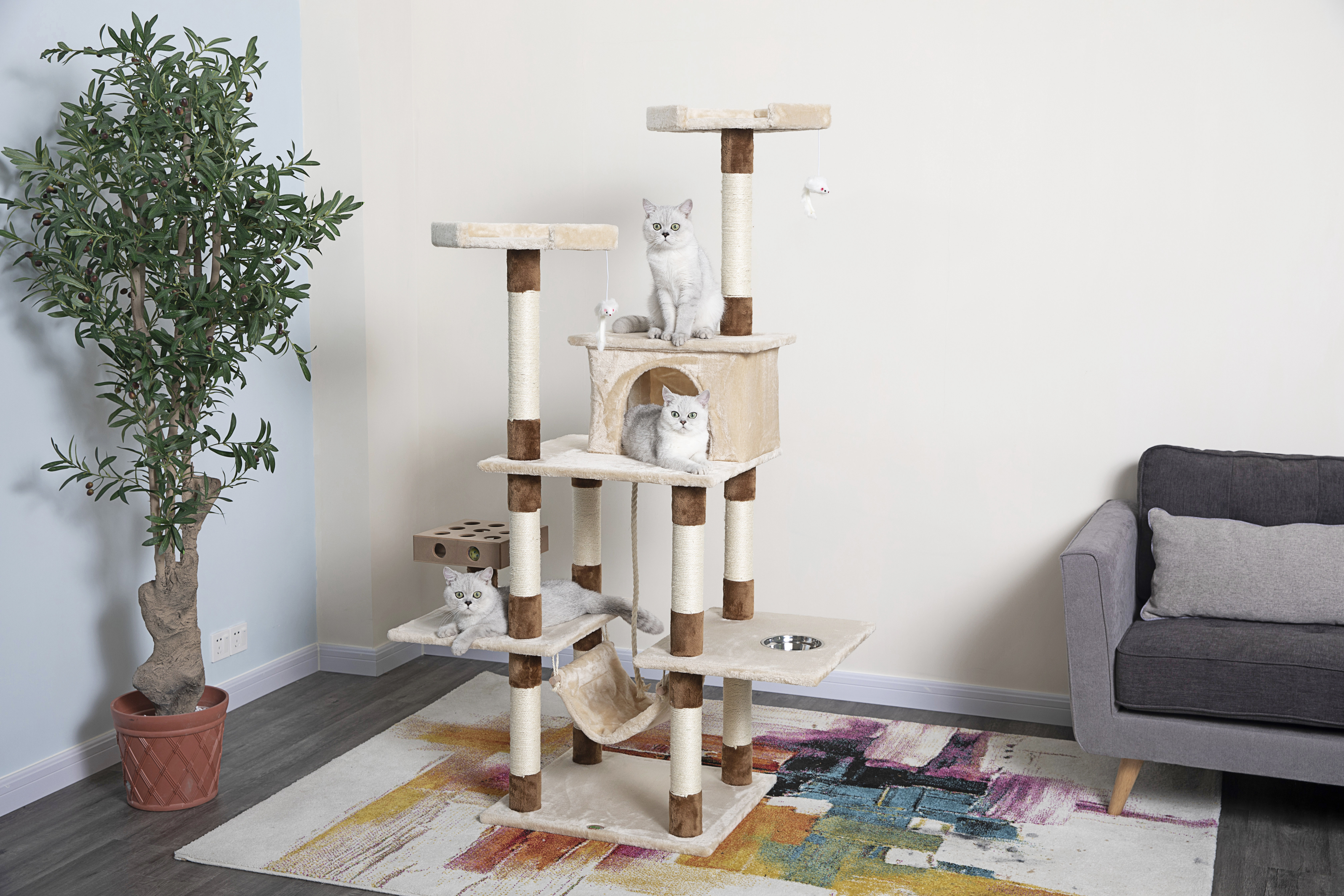 iq box cat tree