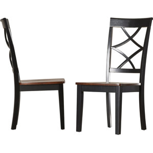 Rani Side Chair (Set of 2) by Charlton Home