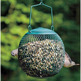 Hanging No No Feeder Bird Feeders You Ll Love In 2020 Wayfair