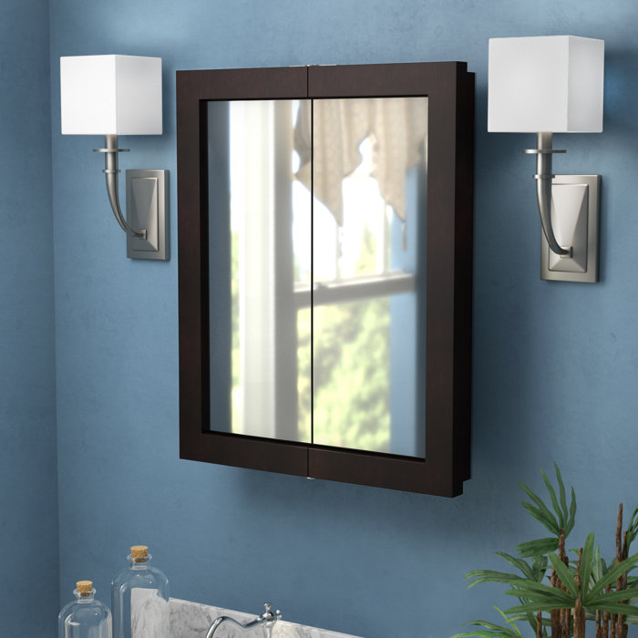 Winston Porter Searle Surface Mount Framed 2 Door Medicine Cabinet