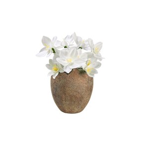 Paperwhite Silk Flower in Easter Egg Pot